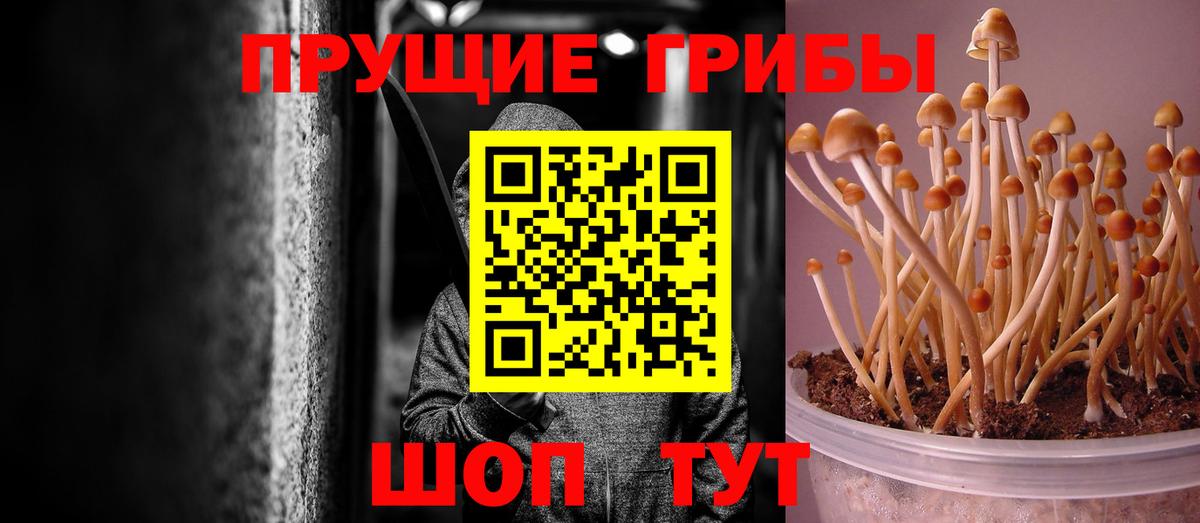 Галлюциногенные грибы MAGIC MUSHROOMS  Галлюциногенные грибы Psilocybine cubensis  Вход с VPN  Городец 